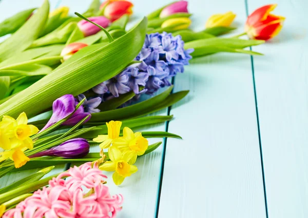 Narcissuses, crocuses, hyacinths and tulips — Stock Photo, Image