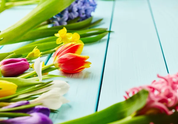 Tulipanes, narcisos, azafrán y jacintos — Foto de Stock