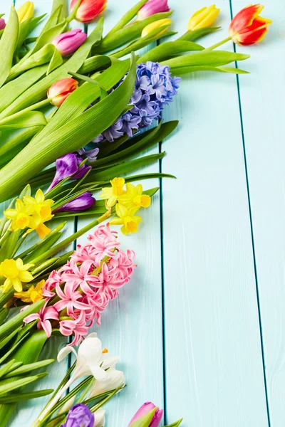 Hermosas flores de primavera — Foto de Stock