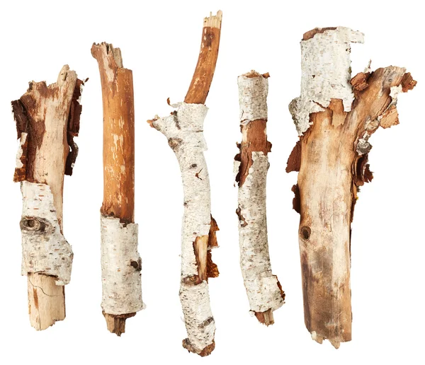 Birch tree sticks — Stock Photo, Image