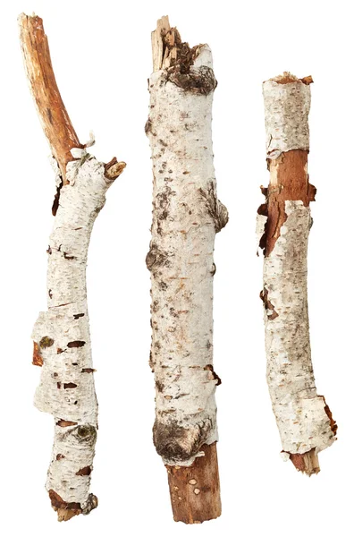 Birch tree sticks — Stock Photo, Image