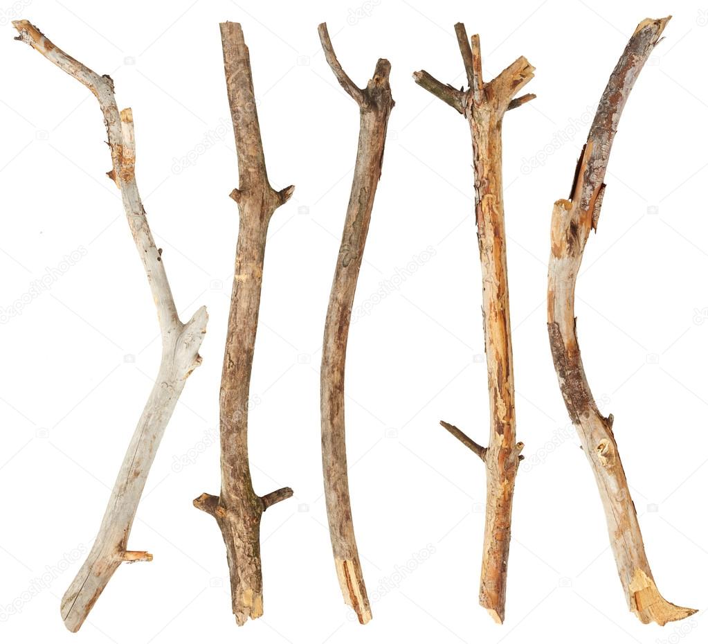 Wooden sticks on white — Stock Photo © Nik_Merkulov 110272546
