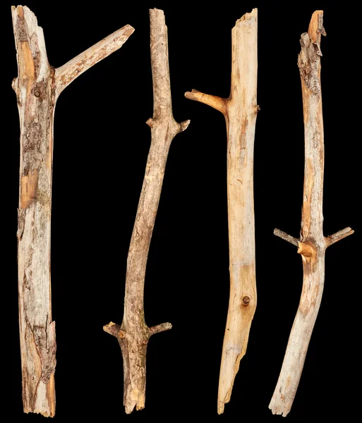 Δέντρο μπαστούνια ξύλινα — Φωτογραφία Αρχείου