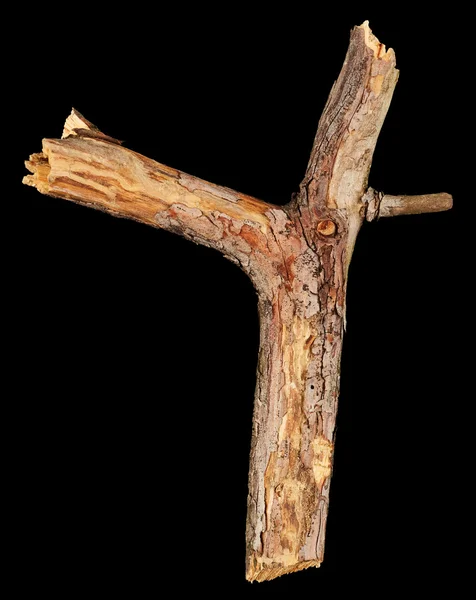 Baum Holzstab — Stockfoto