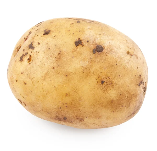Patata orgánica cruda —  Fotos de Stock