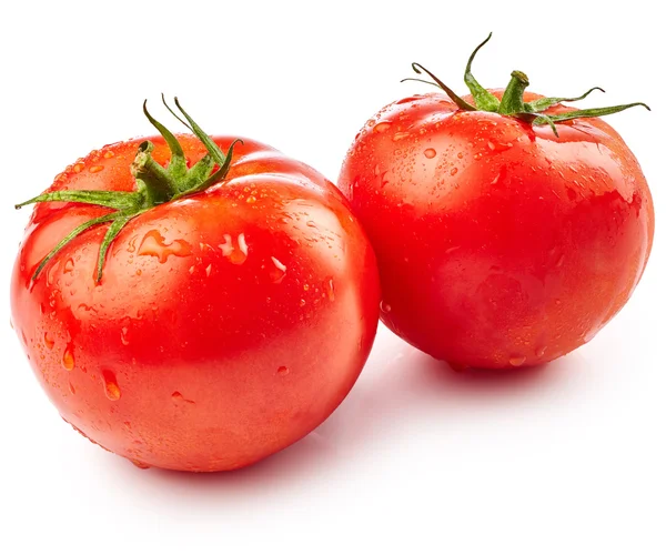 Tomaten mit Wassertropfen — Stockfoto