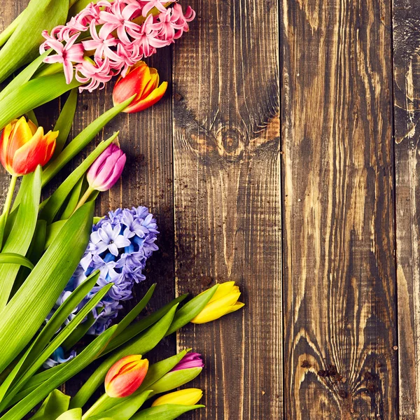 Beautiful tulips and hyacinths — Stock Photo, Image