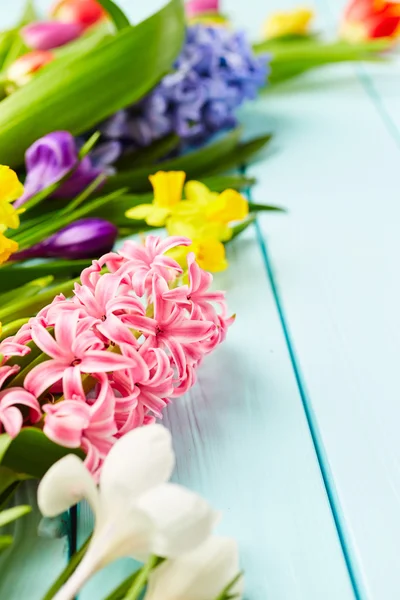 Hermosas flores de primavera — Foto de Stock