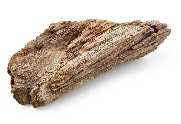 Parte do tronco isolada — Fotografia de Stock