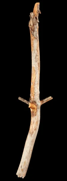 Tree stick isolerade — Stockfoto