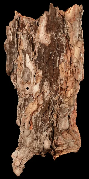 고립 된 나무 껍질 — 스톡 사진