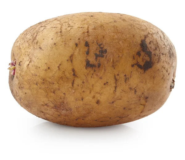 Potato isolerad på bakgrunden — Stockfoto