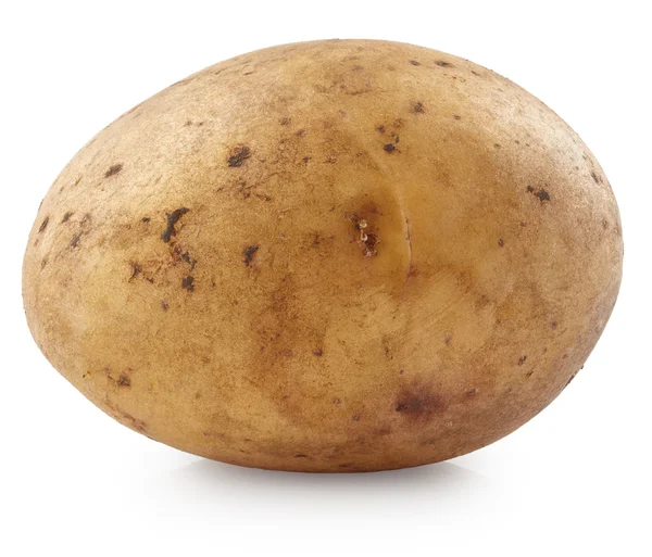 Πατάτα απομονωθεί σε φόντο — Φωτογραφία Αρχείου