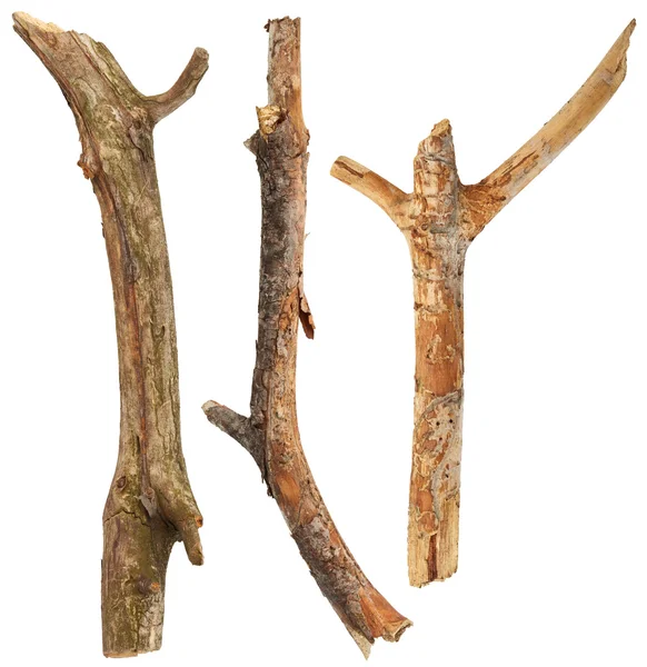 Tree sticks isolated — Stock Photo, Image