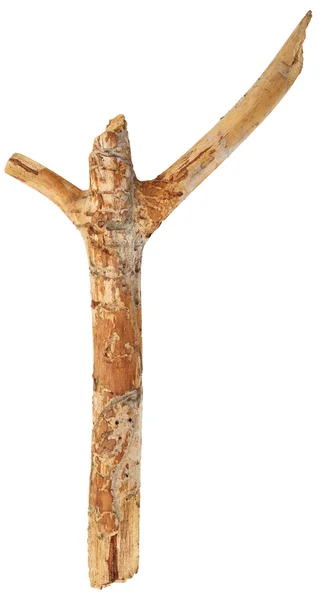 Деревянная палка — стоковое фото