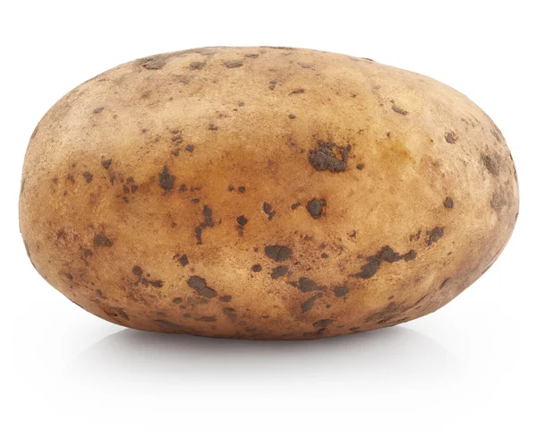 Potato isolerad på bakgrunden — Stockfoto