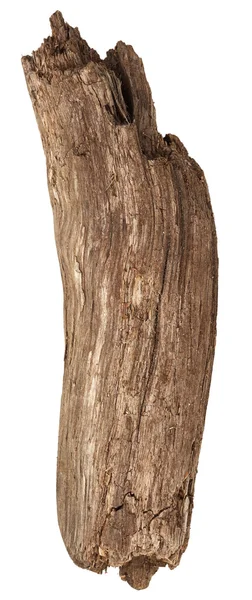Suché dřevo stick — Stock fotografie