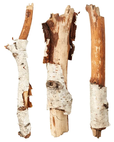 Birch tree branches — Stock Photo, Image