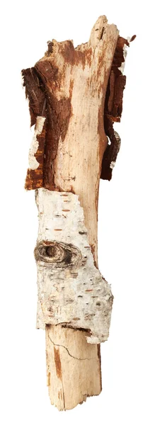 Ramo d'albero rotto — Foto Stock