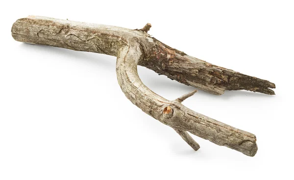 마른 나무 지팡이 — 스톡 사진