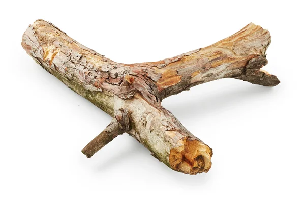 stock image Dry Tree Stick 