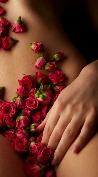 Cuerpo femenino con rosas rosadas — Foto de Stock