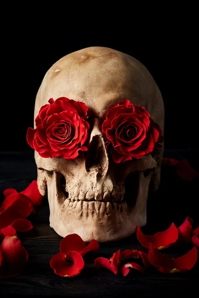 해골과 붉은 장미 — 스톡 사진