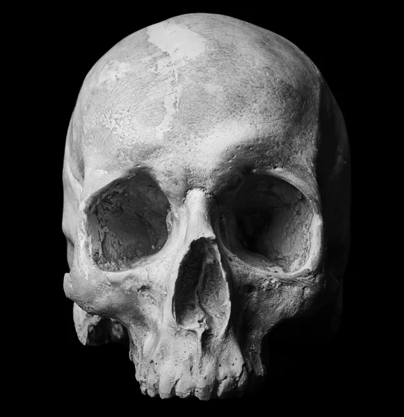 Human skull on black — Stock Photo, Image