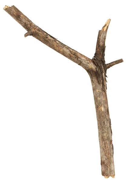 Baum Stick auf weiß — Stockfoto