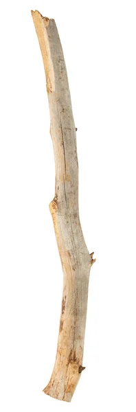 Tree stick on white — Stock Photo, Image