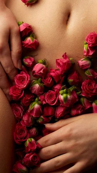 Corpo feminino com rosas rosa — Fotografia de Stock