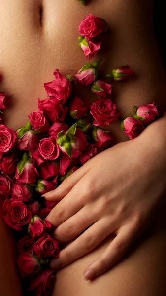 Weiblicher Körper mit rosa Rosen — Stockfoto