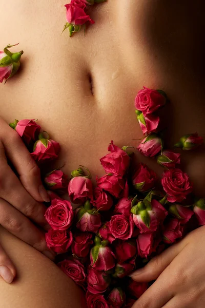 Kvinnliga kroppen med rosa rosor — Stockfoto