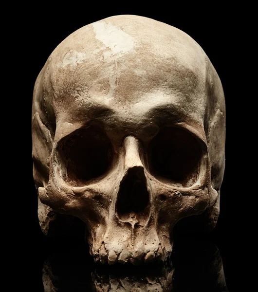 Людський череп на чорному — стокове фото
