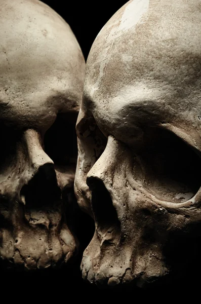 Dos cráneos en negro — Foto de Stock
