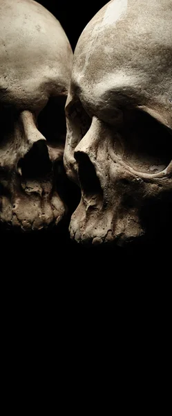 Dwie czaszki na czarny — Zdjęcie stockowe