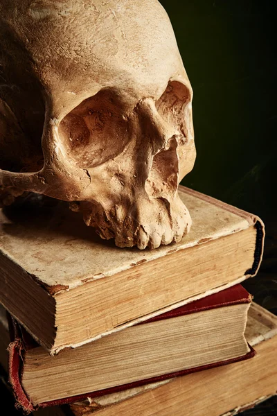 책에 인간 두개골 — 스톡 사진