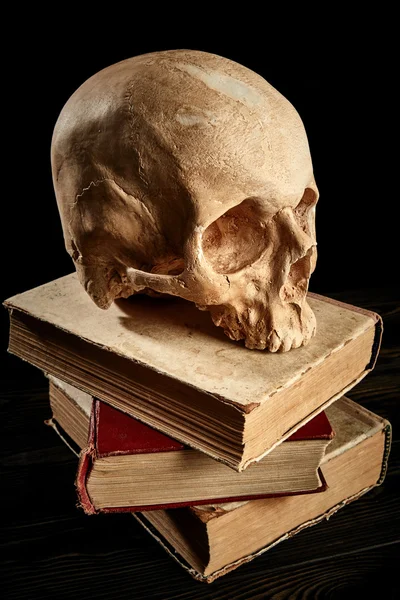Lidská lebka na knihy — Stock fotografie