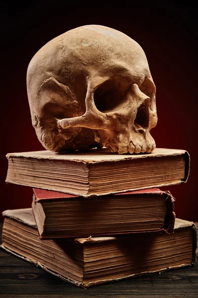 책에 인간 두개골 — 스톡 사진