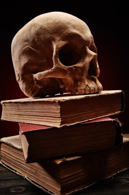kitap yığını üzerinde insan kafatası