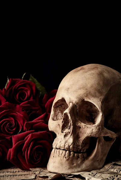 Crânio com rosas vermelhas a — Fotografia de Stock