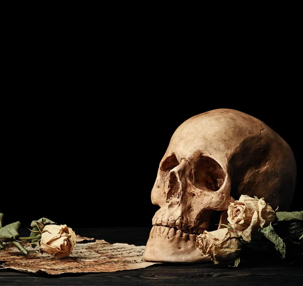 Cráneo con rosas secas —  Fotos de Stock