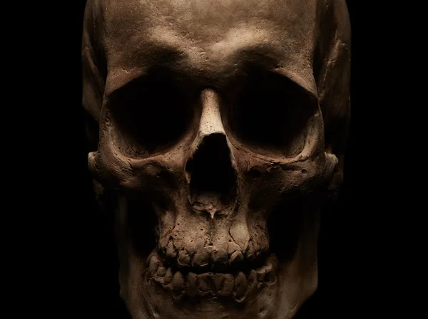 Crânio humano em preto — Fotografia de Stock