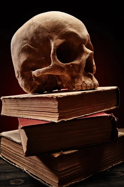 Crânio humano na pilha de livros — Fotografia de Stock