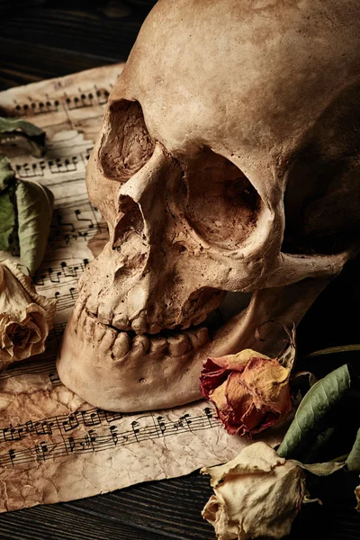Totenkopf mit trockenen Rosen — Stockfoto