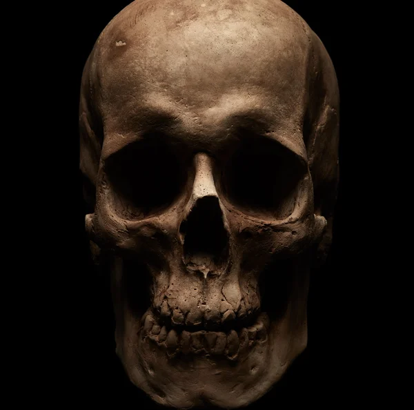 Craniu uman pe negru — Fotografie, imagine de stoc