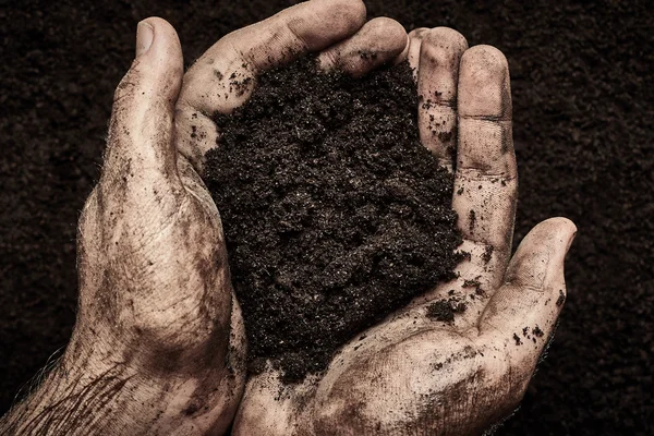 Terreno in mani maschili — Foto Stock