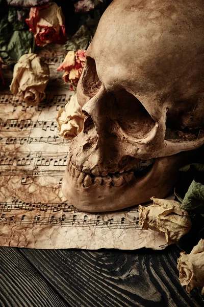 Crânio com rosas secas e folha de música — Fotografia de Stock