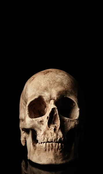 Ludzka czaszka z odbicia — Zdjęcie stockowe
