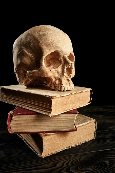 Skull on books stack — Stock Photo, Image